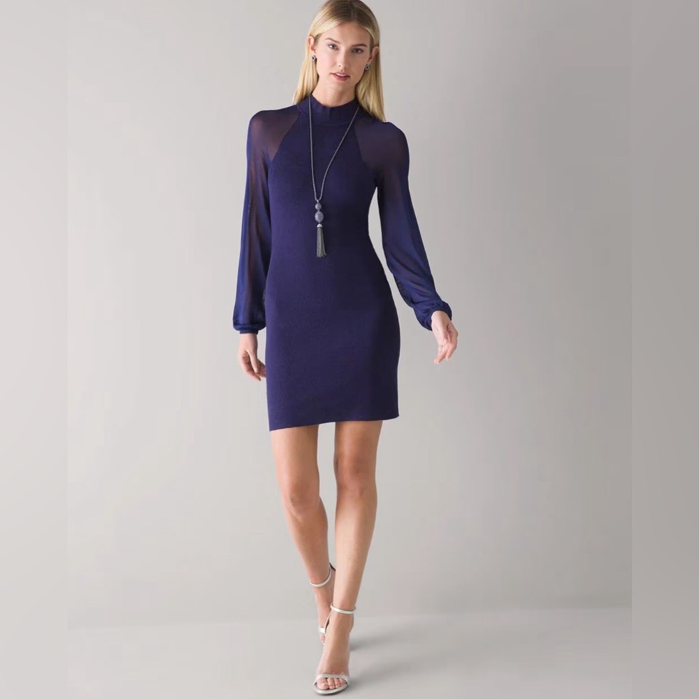 WHBM Sheer Sleeve Sweater Dress